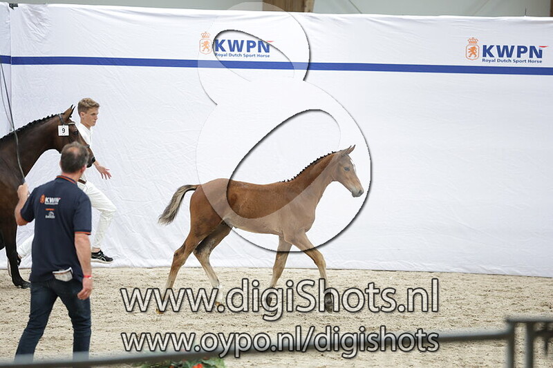 Vancouver Eurohill v. Emir R