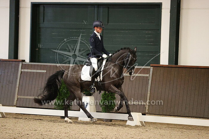 Jilles Timmers - Duc De D'arbanville