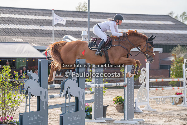 Zilfias 120cm 13/04/2024