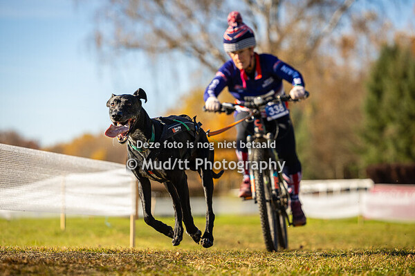 Bikejoring masters II