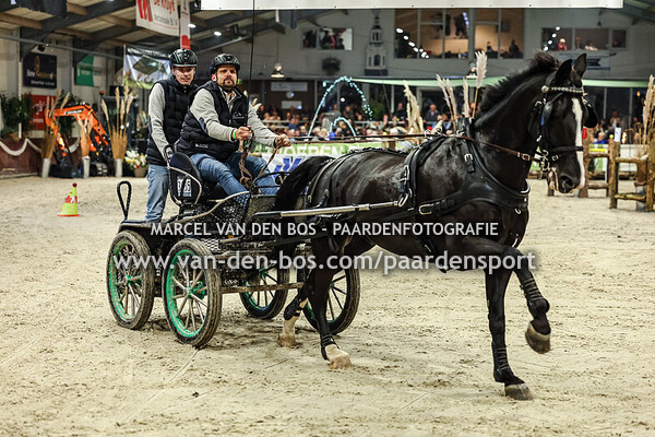 20241102- Finale-enkelspan-paard