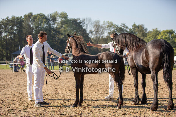 04. Ari AK van de Uijterdijk