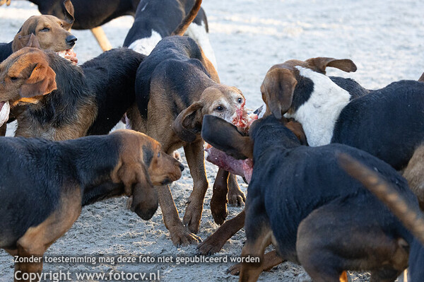 Slipjacht Hoevelaken 2025 - JVS