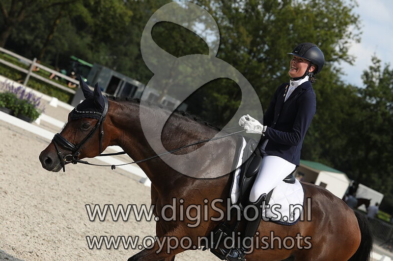 Ring 4 Klasse Z1 paarden