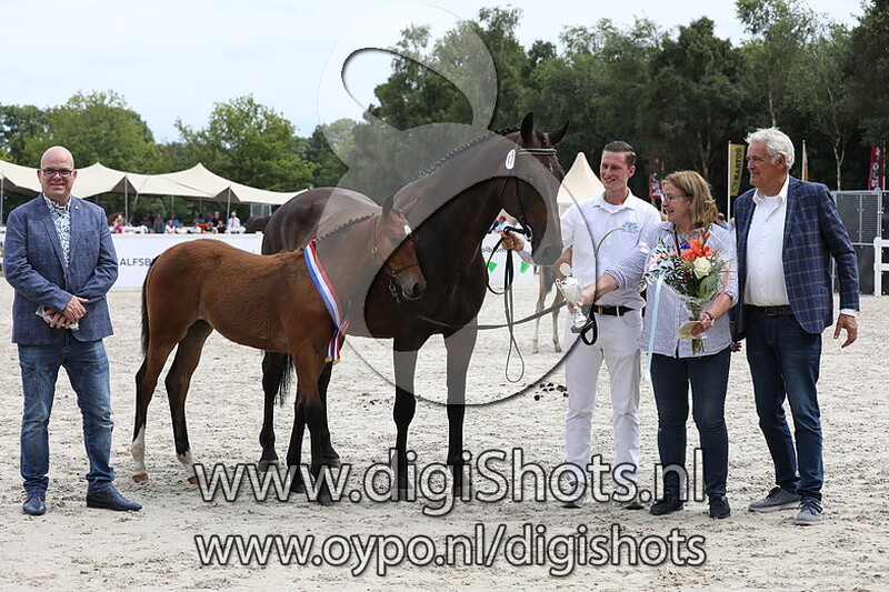 179 Robinetty II v. Henkie