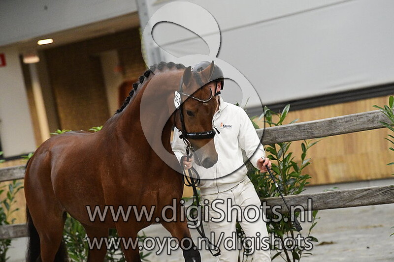 Rome Usb v. Vaderland - 532