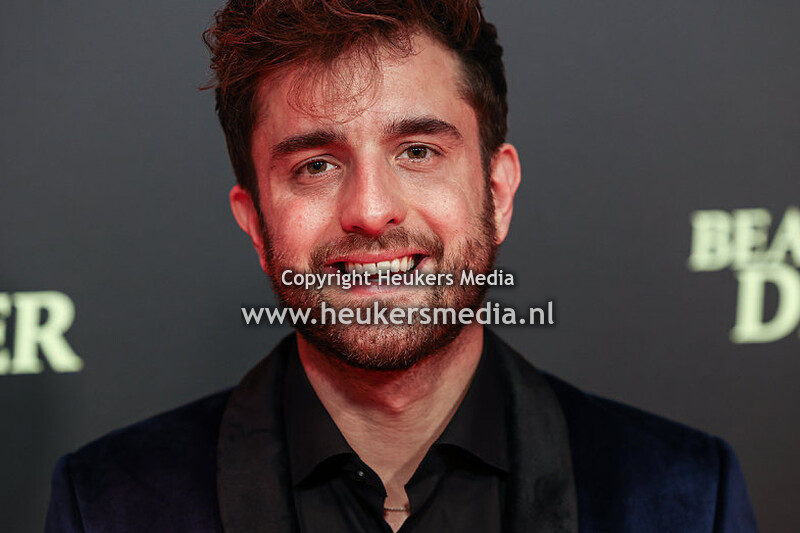 premiere Beautiful Disaster