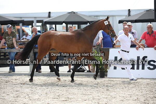 42 Lysandroretto (Grand Slam x J-Ohara v. Calando I)