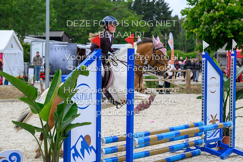 3 Rijstijl pony's 0.60 cm cat. ABCDE MB-ZB