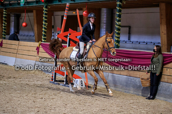 NY Jumping Warredal Pony's 70-80-90cm 07-01-22