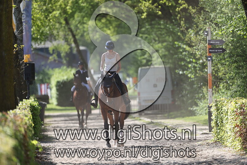 Kerel van het Sterrebos