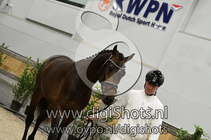 Royal Glory v. Sir Donnerhall I - 502