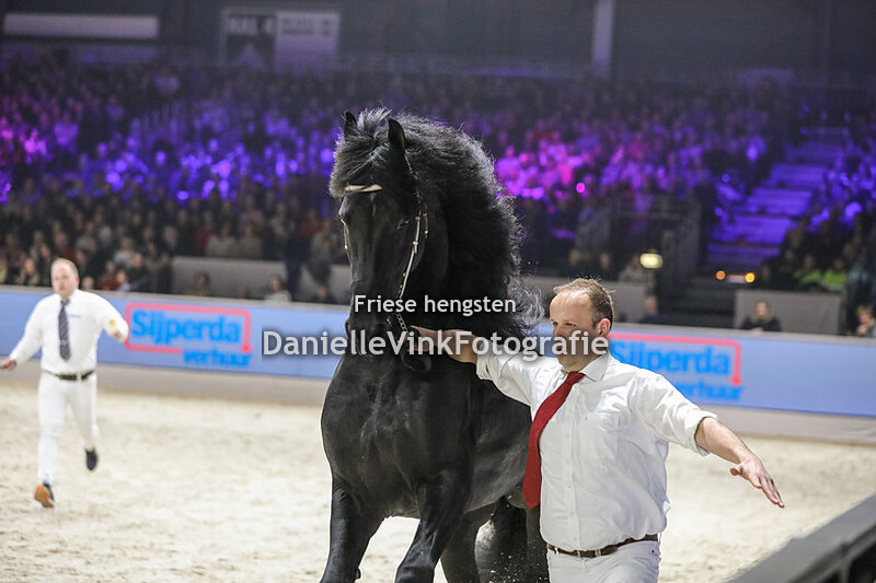 Hengstenkeuring 2024 Faust 523