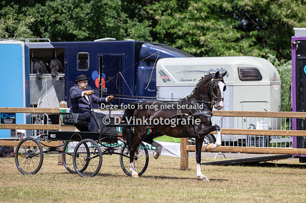 12. Eenspannen Hackney's grote maat Open klasse