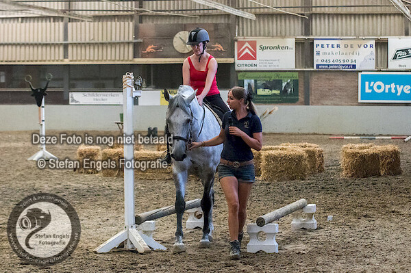2018-07-21 Clinic working equitation WE Limburg