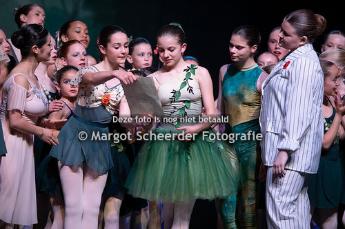 23 Feeën Midzomernacht