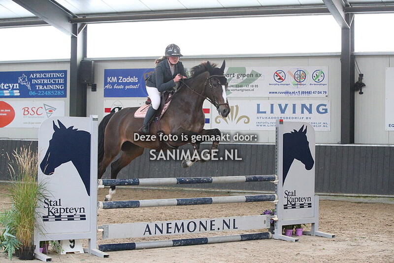 De Voornruiters De Meern Springen Paarden 12-10-2024 100 cm