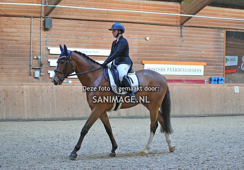 PV Midland Dressuur 17-12-2023 13.00-14.00 uur