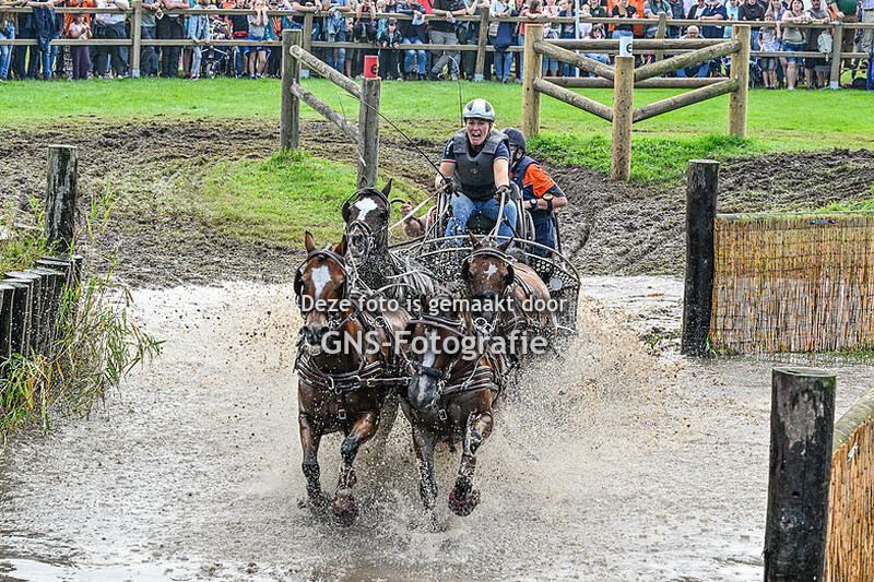 FEI Driving World Championships for Ponies 2023 Saterday 2nd Marathon Pony Four in Hand