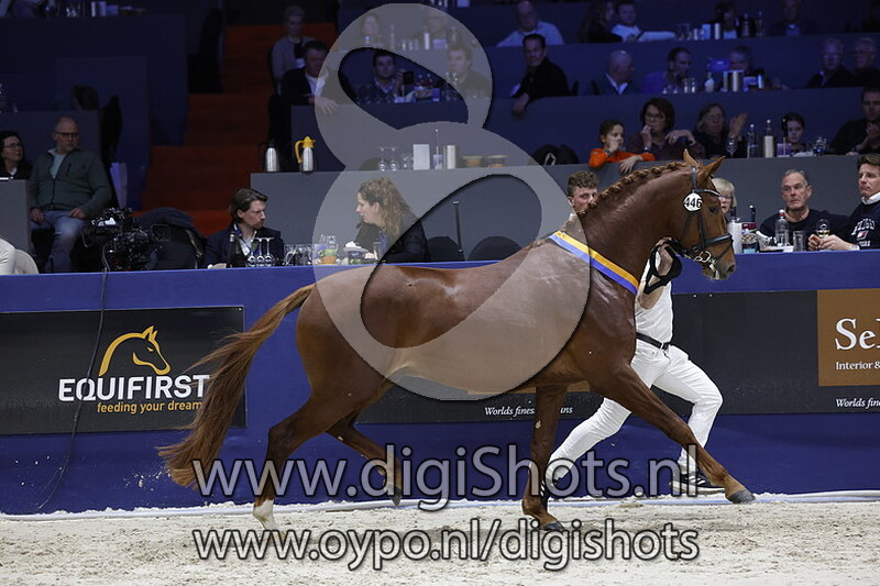 Rumble Vdk v. Lantanas - 446