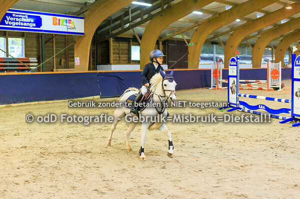 Geldrop Hippique Oefenspringen 50cm 11-10-24