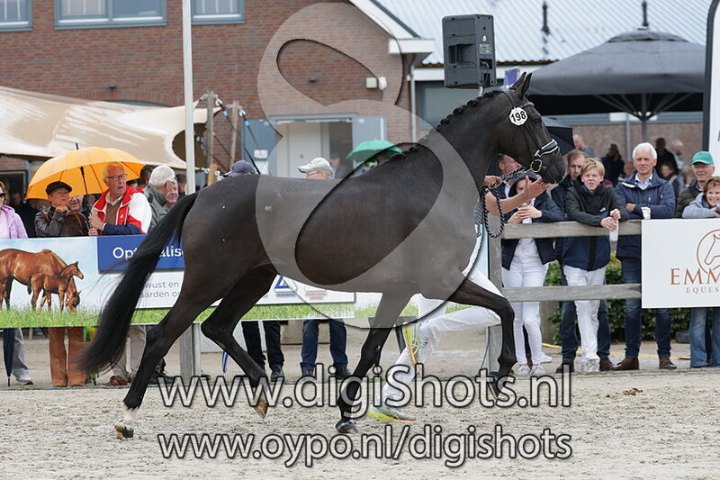 So Charming C Two v. So Perfect