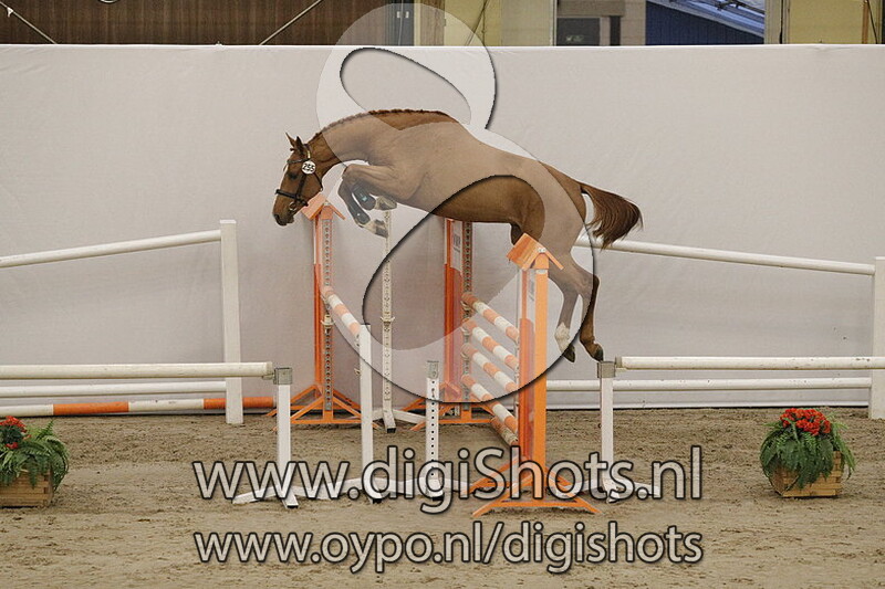 255 Grand Prix DX v. Vigo d Arsouilles