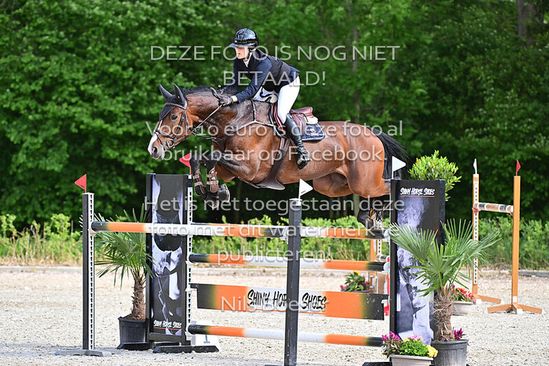 24 ETL Grote prijs, klassiek paarden 1.30-1.35 m MB