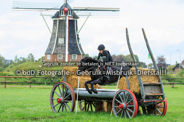 Achterhoeks Hippisch Festijn Varsseveld 23-09-23
