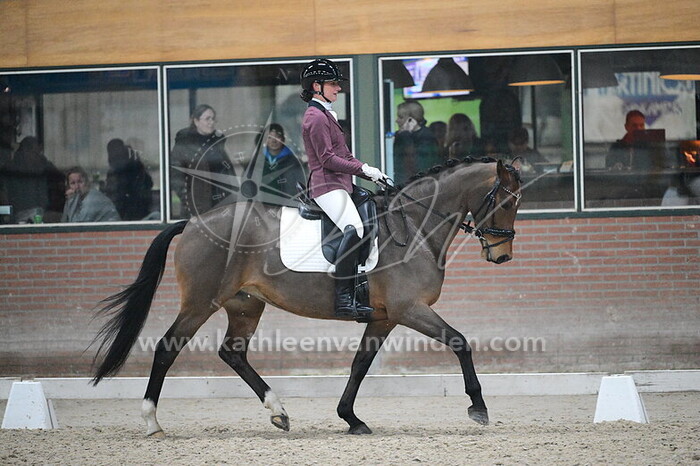 Elise van Rooijen - Pineau Rosa