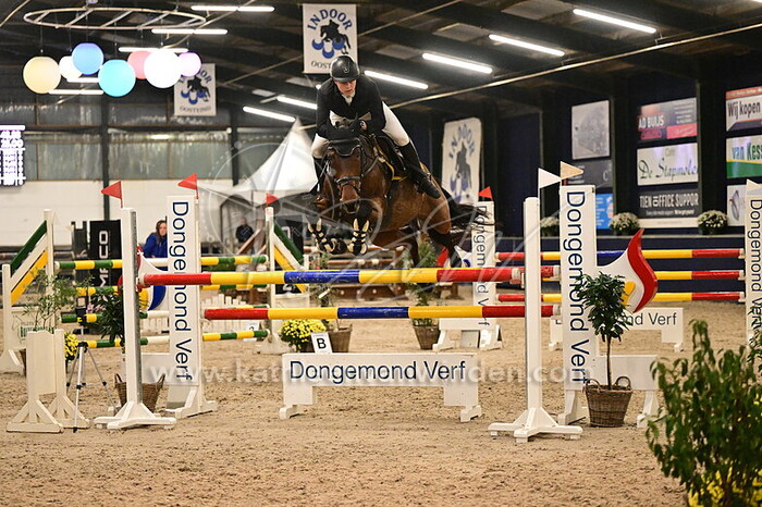 Jules Meyvis - Oklahoma van d'Hoeve