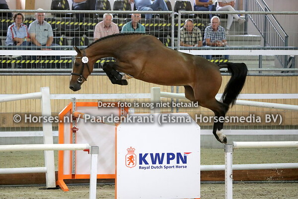 15-08-2020 KWPN Nationale merriekeuring springpaarden