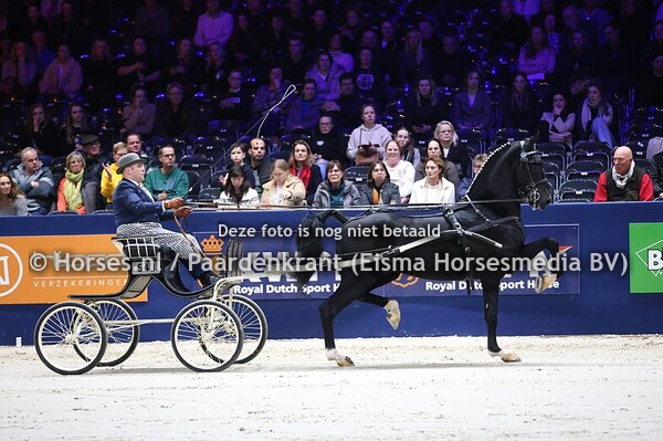 01-02-2025 KWPN HK Tuigpaardhengsten nieuwe jaargang