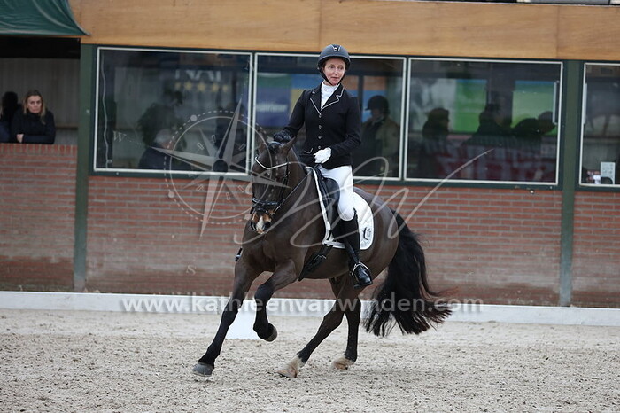 Martine van Duin - Gerstloo's Gambit