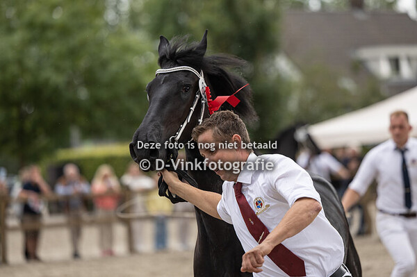 88. Vaya van Stal Aschberg