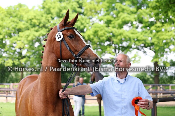 15 Sity-Sinaa (Darwin Z x Mistral Sinaa V. Quidam de R)