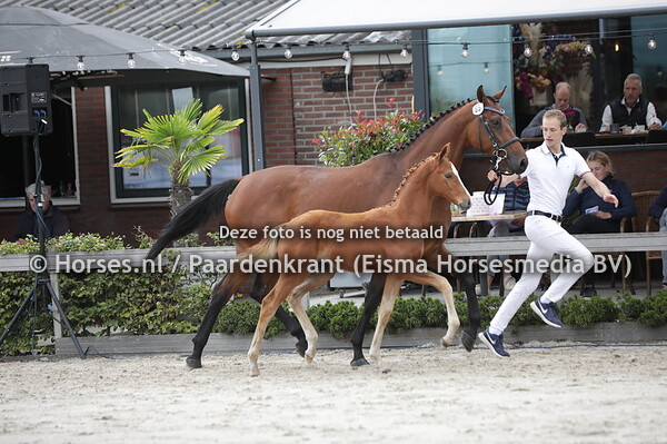 85 Sunrose (McLaren x Nindyrose v. Incusive)