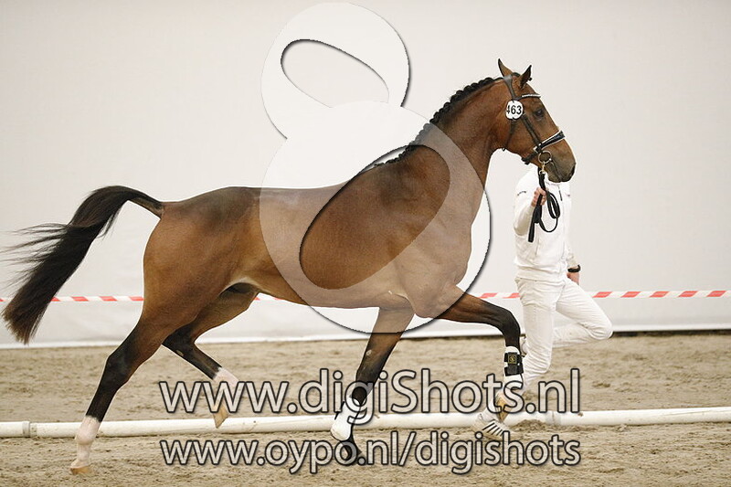 Motilas MP v. Glocks Toto Jr