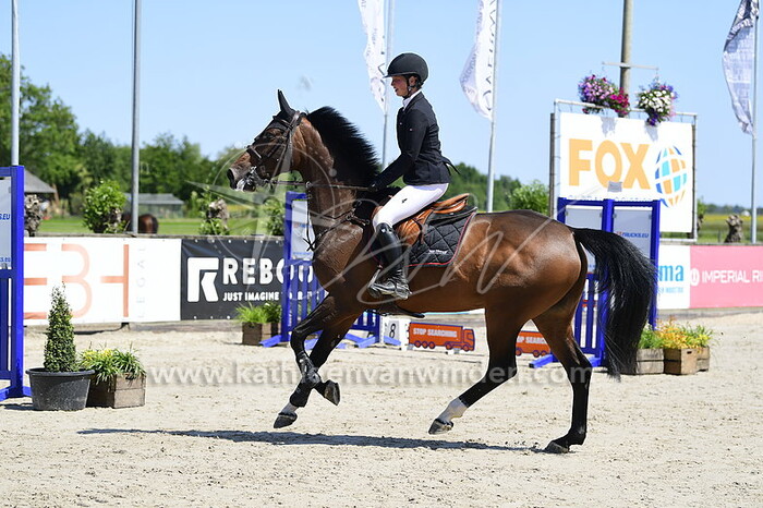 Noelle van der Velde - Memorable DMH