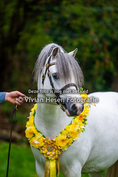 Senior classes & Championships