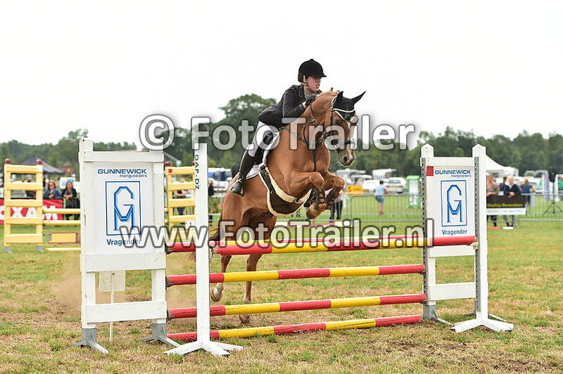 angelique van der weele