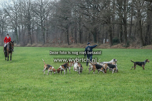 17 De Lutte 17-12-2025