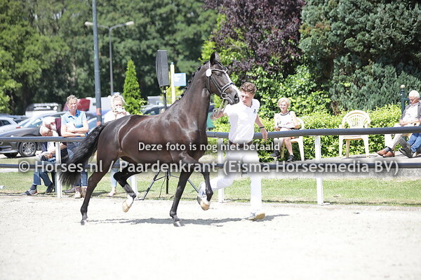 91 Kiana (Desperdo x Rilana v. Gribaldi_