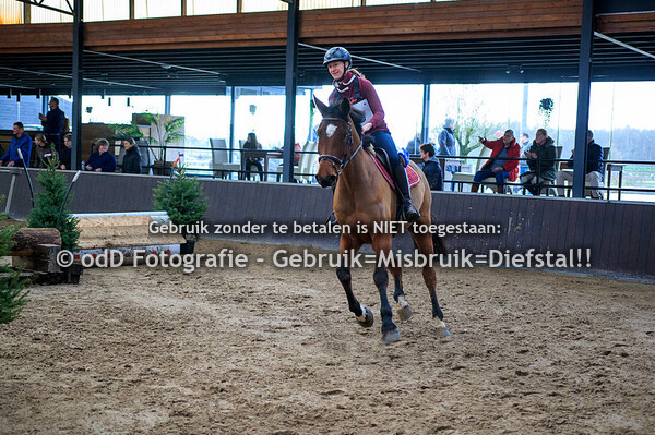 Indoor SGW De Mortel Cross Paard BB 30-12-23