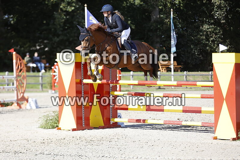 celeste van der poel