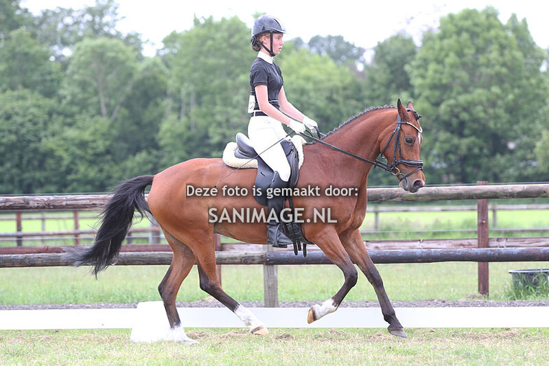 NWPCS Mega Welsh Event Wezep 04-06-2022 Ring 3