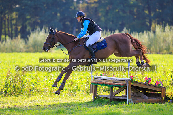 Eventing Diepenheim paarden L 19-10-25