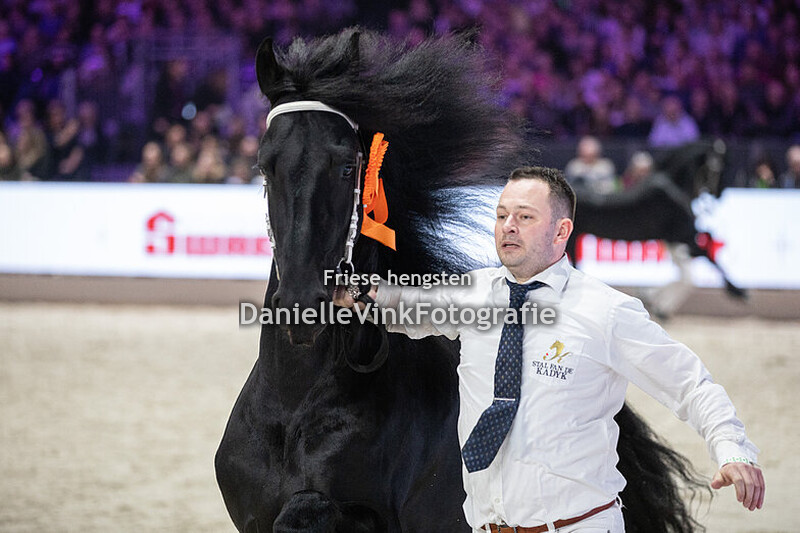 Hengstenkeuring 2025 Rutger 546