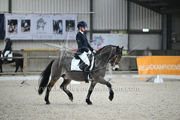 Olivia Crouwel - Felix