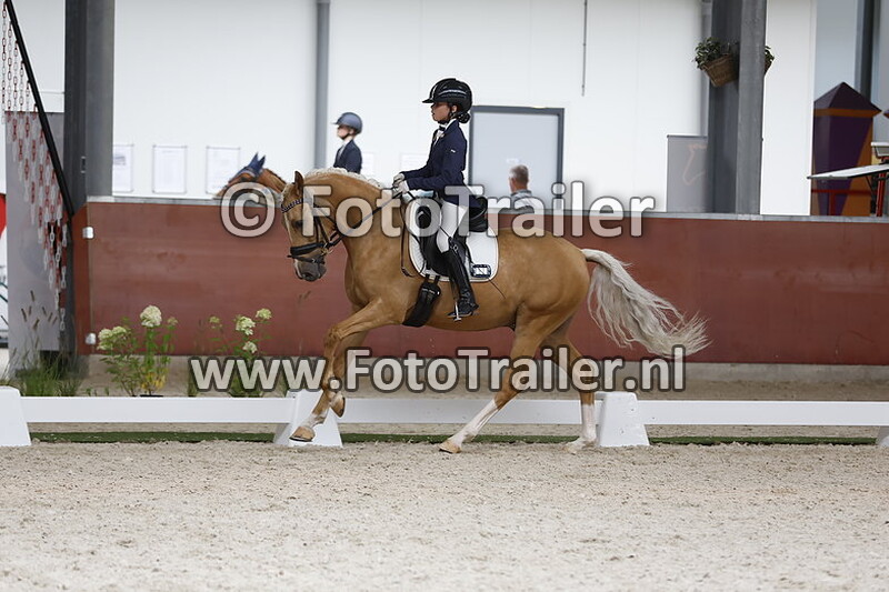 dpc 5 jarige groep 6